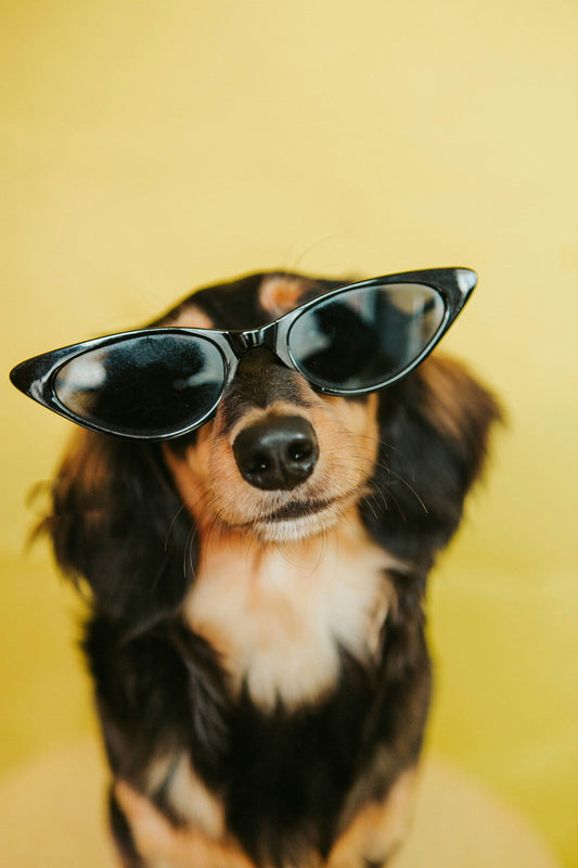 The Ultimate Guide to Techno Rave Sunglasses